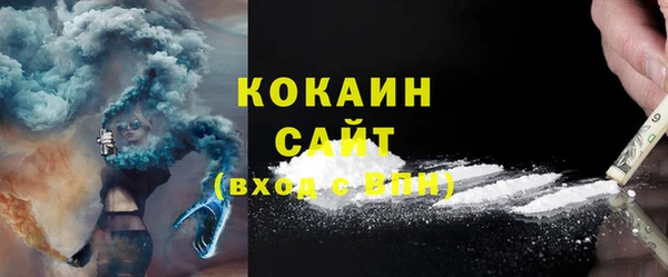 шишки Балахна