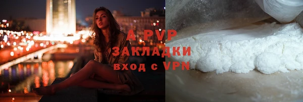 шишки Балахна
