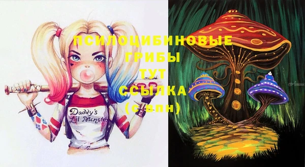 амфетамин Приозерск
