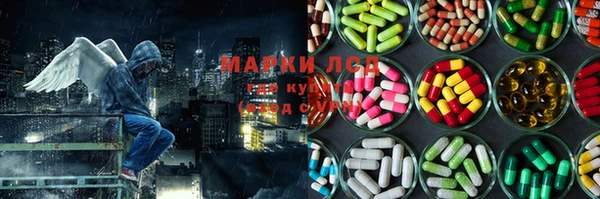 шишки Балахна