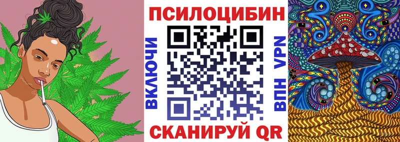 Галлюциногенные грибы Psilocybine cubensis  ссылка на мегу tor  Белорецк 